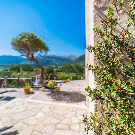 Ideal Mallorca - Caselles Petit *